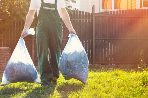 Best Shed Removal  in Dimmitt, TX